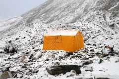 30 Yaks Rest Near Our Kitchen Tent After It Snowed In The Afternoon At Mount Everest North Face Intermediate Camp 5788m In Tibet.jpg